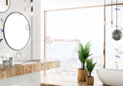 Gạch Ốp Lát APODIO 48814 - 48814D
